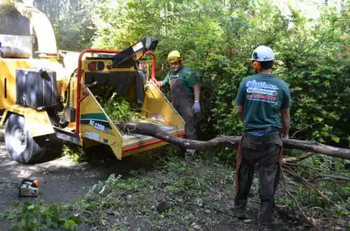 tree services Lawrenceburg